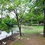 Lakeside Park