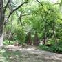 Davis Park