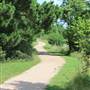 Robinson Park