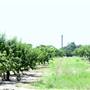 Cooper Farms