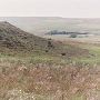 Arrington Ranch