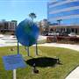 Space Walk Plaza