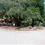 Hill Country Water Gardens & Nursery