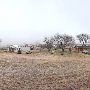 Mendota Ranch