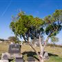 Manor City Cemetery