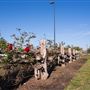 Manor Park & Ride