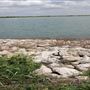 Robinson Wastewater Planet & Reservoir