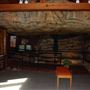 Bosque Museum