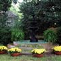 Belle Oaks Inn Bed & Breakfast