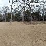 Hyatt Regency Lost Pines Resort & Spa - Wolfdancer Golf Club