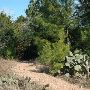 McKinney Roughs Nature Park