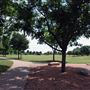 Mueller Lake Park