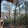 Buescher State Park