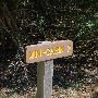Buescher State Park