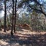 Buescher State Park
