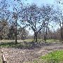 Buescher State Park