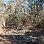 Buescher State Park