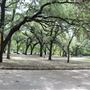 Olmos Basin