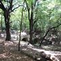Judson Nature Trails