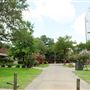 Incarnate Word College