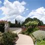 Incarnate Word College