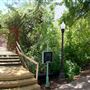 Incarnate Word College