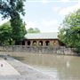 Brackenridge Park