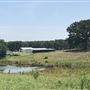 The Flying H Ranch