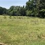 The Flying H Ranch