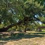 Westside Park