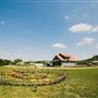 Montesino Ranch