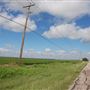 Cotton Fields on FM 1223