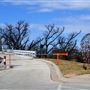 Lone Wolf Bridge
