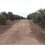 Texas Hill Country Olive Company