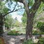 Chandor Gardens