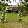 Obregon Ranch