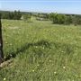 Obregon Ranch