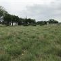 Obregon Ranch