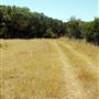 Old Ponderosa Ranch