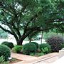 Reagan Park