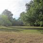 Waldhauser Property
