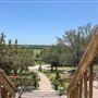 Bluff Dale Vineyards