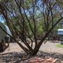 Rafter B Tiny Homes