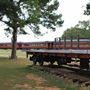 Texas State Railroad - Palestine Depot