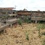 Stockyards Station - Cowtown Cattlepen Maze