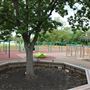City of San Marcos Children's Park