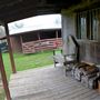 Comanche Country Ranch & Event Venue