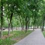 Bonnie Wenk Park
