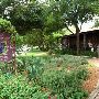 Gruene