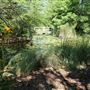 Clark Gardens Botanical Park